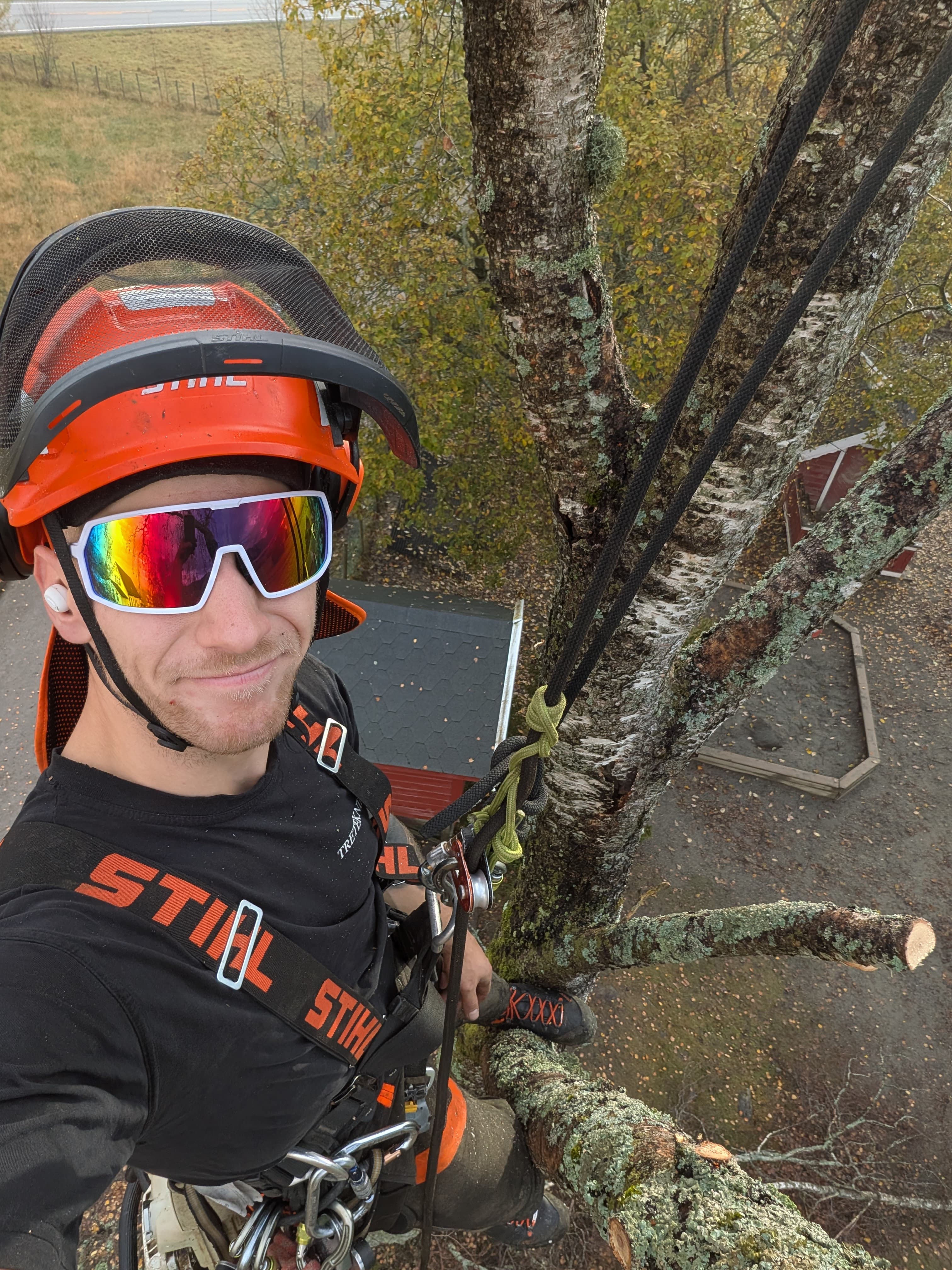 Steffen i Stihl-utstyr, fra Lobekk tre og service